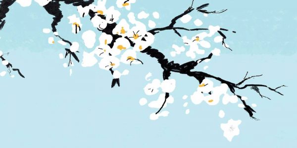 Sloww Ikigai Book Cover