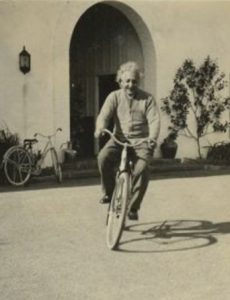 Sloww Einstein Bicycle Moving Quote