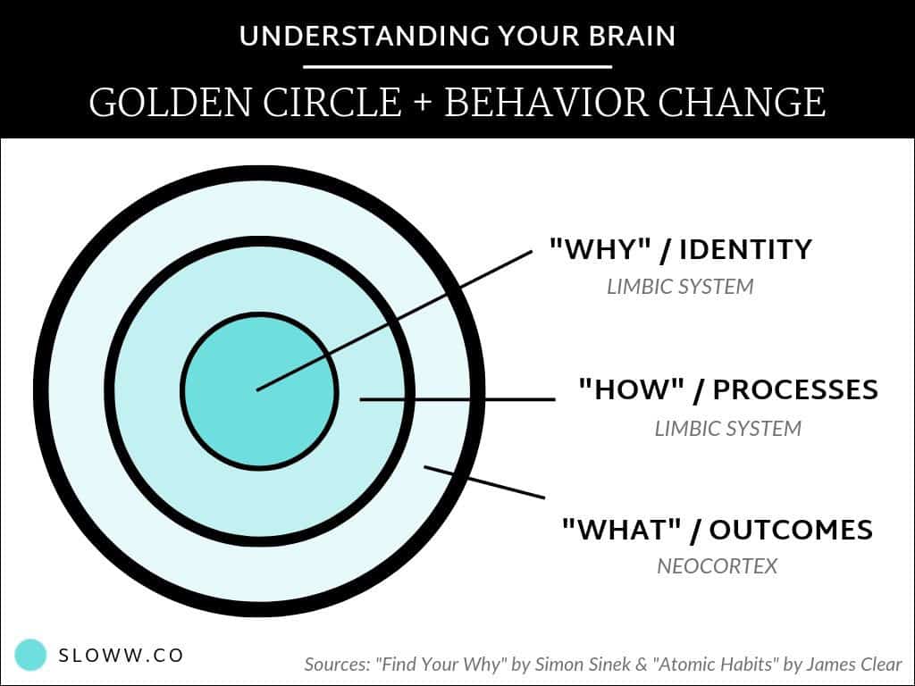 Understanding Your Brain Connecting “The Golden Circle” (Simon Sinek