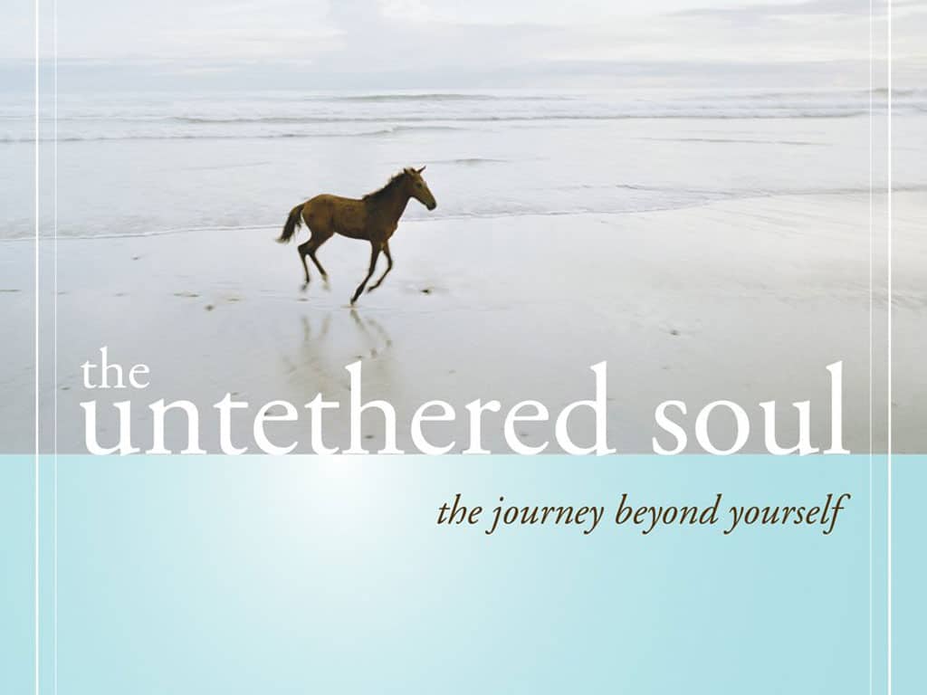 Sloww Untethered Soul Book Summary