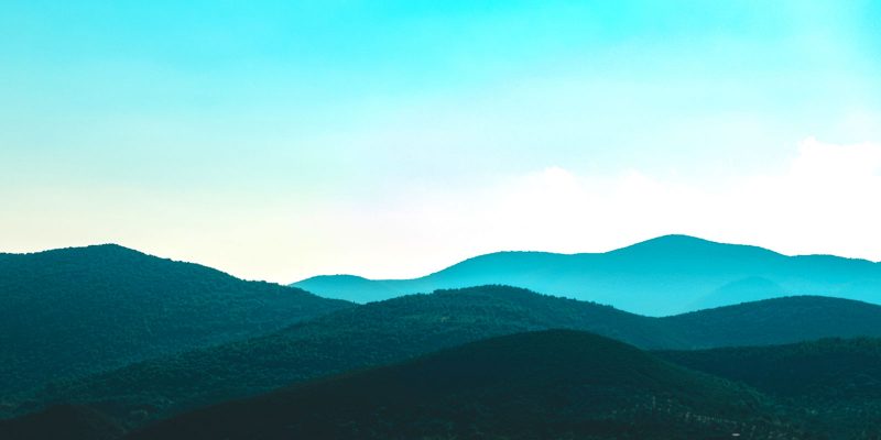 Sloww Art of Slow Living