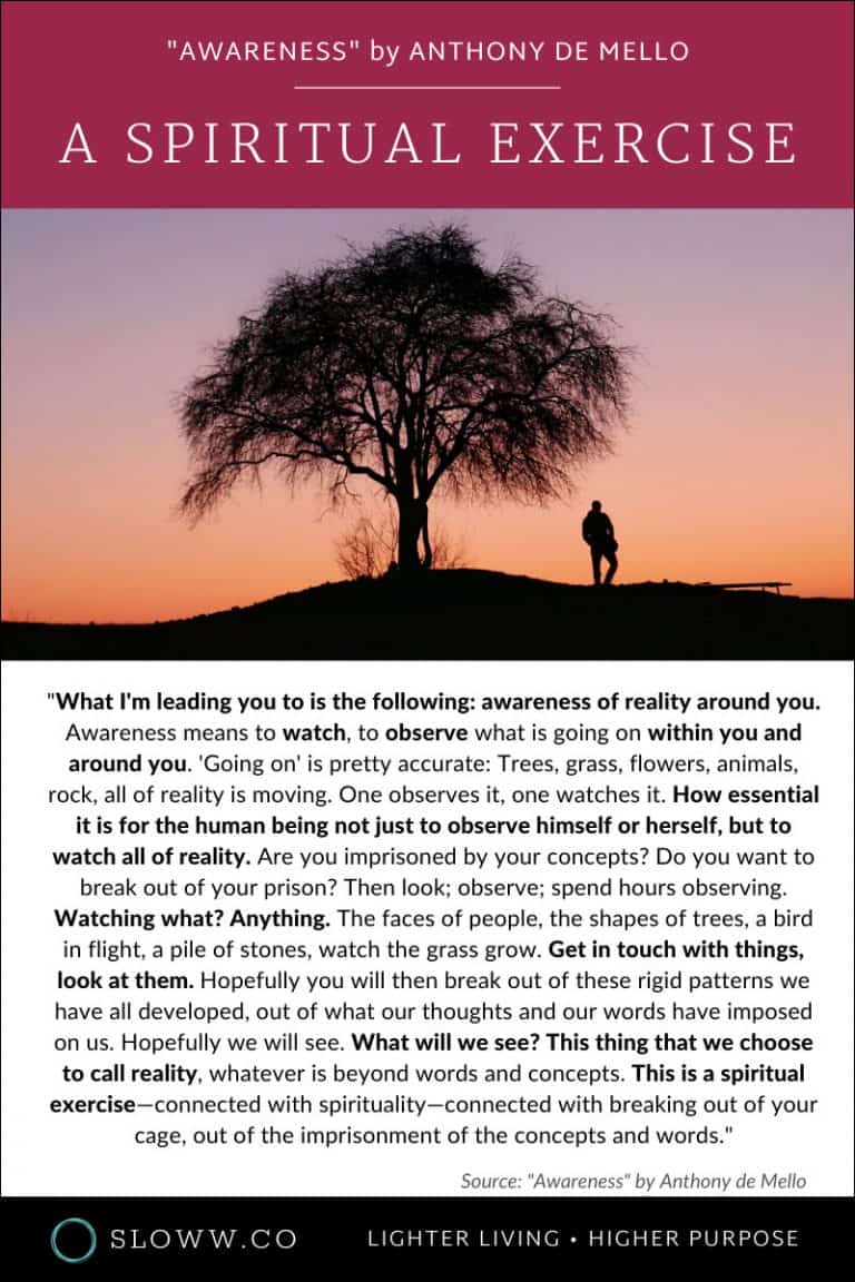 Awareness By Anthony De Mello Deep Book Summary Visuals Sloww