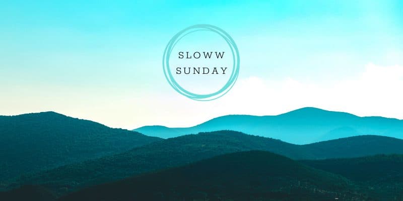 Sloww Sunday Newsletter