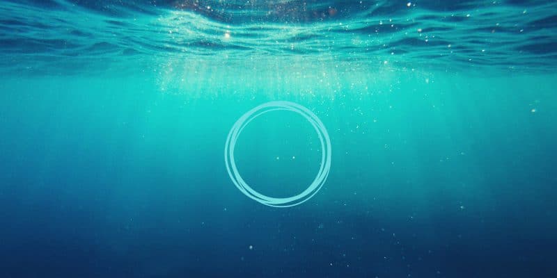 Sloww Premium Membership Circle Logo