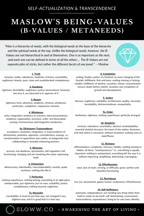 sloww-premium-infographics-photo-synthesis-sloww