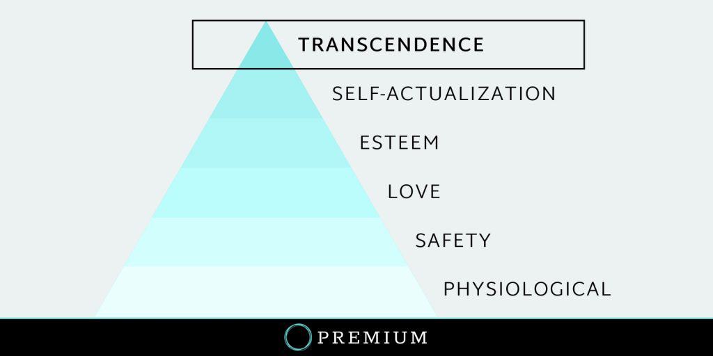 Sloww Transcendence Premium How-To