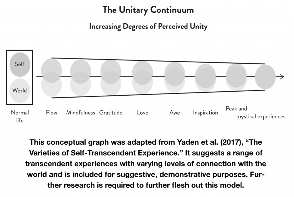 Transcend Book Unitary Continuum