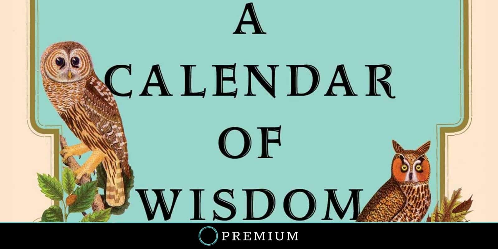 How To Live A Wise Life With A Calendar Of Wisdom Infographic Sloww How To Live A Wise Life With A Calendar Of Wisdom Infographic Sloww