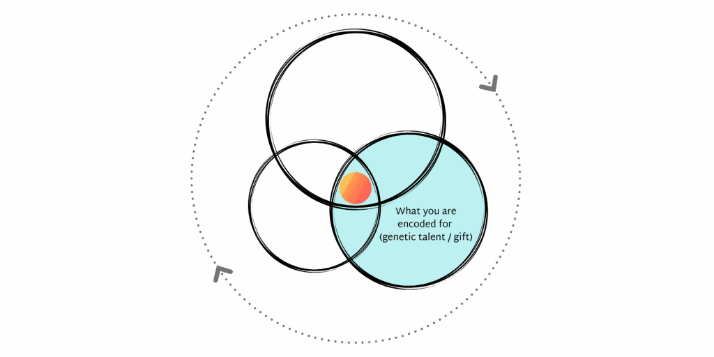 Sloww Ikigai 2.0 Gift