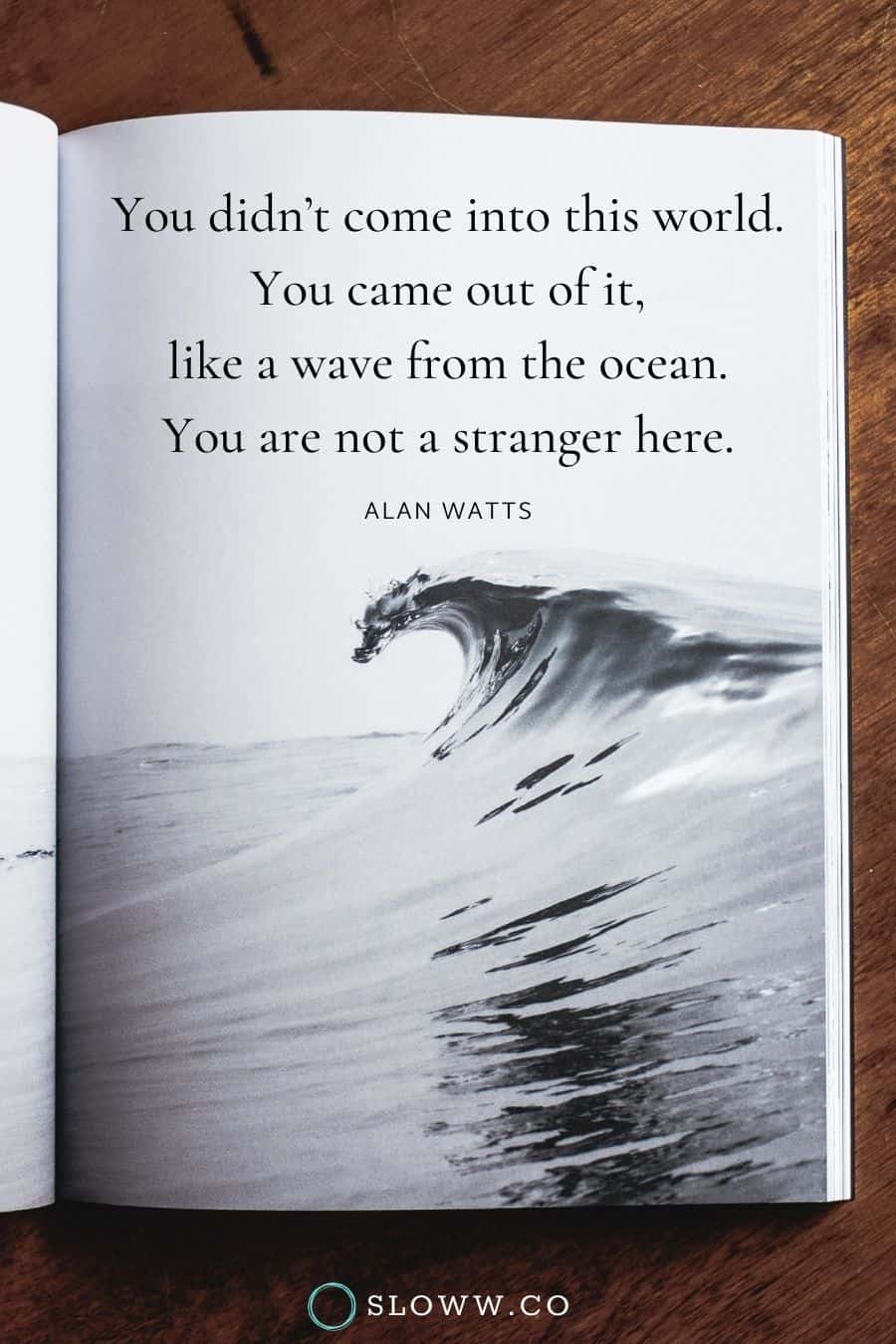 Sloww Wave Stranger Alan Watts Quote