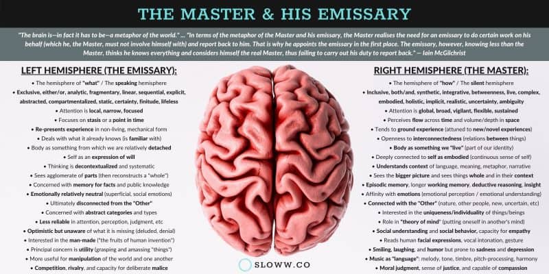 Left Brain & Right Brain: 20 Hemisphere Differences (+ Infographic) | Sloww