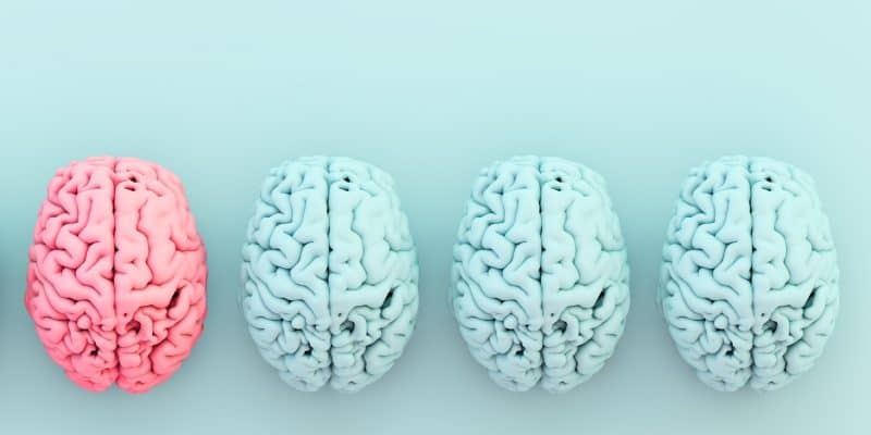 Sloww Whole Brain Living by Jill Bolte Taylor