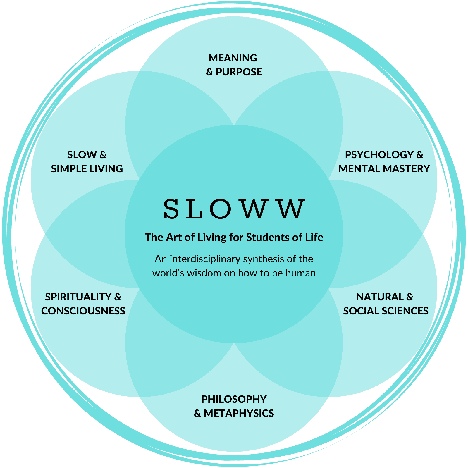 Sloww Focus Areas