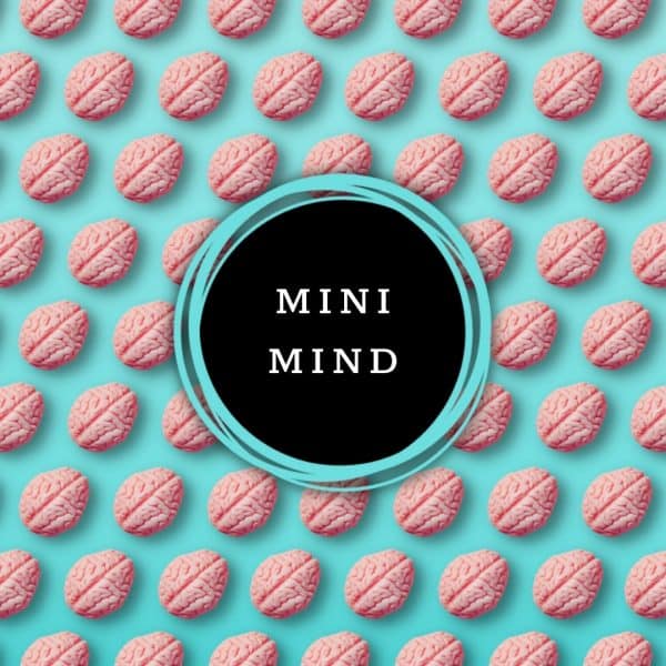Shop Mini Mind