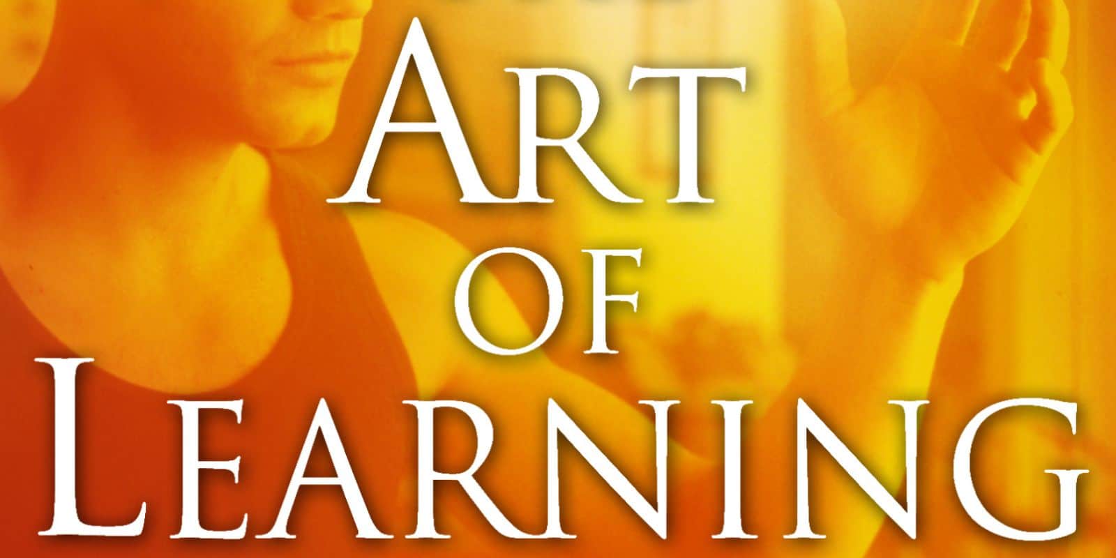 Art of Learning Josh Waitzkin Book Summary