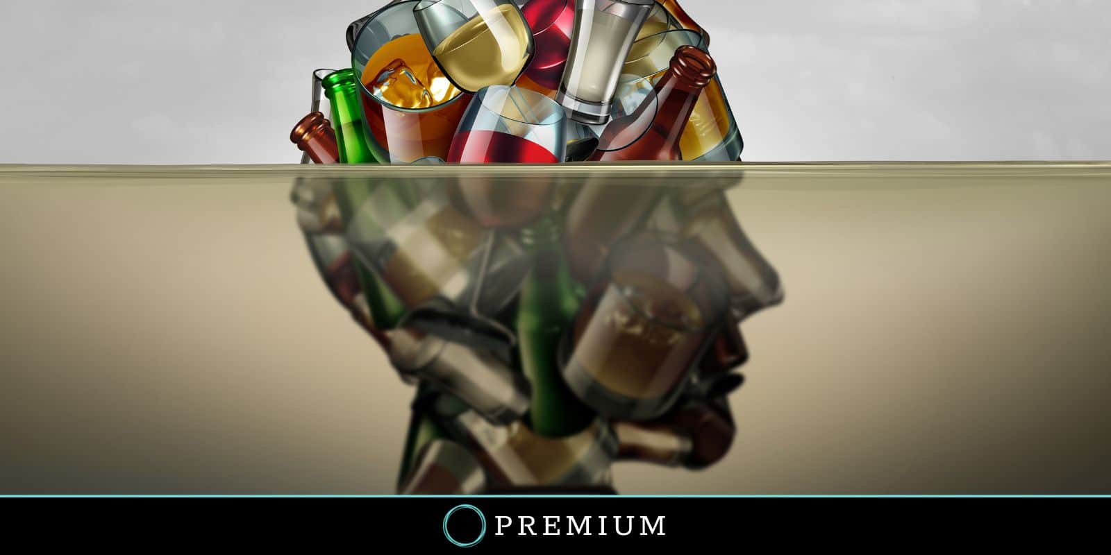 Sloww Premium Quitting Alcohol