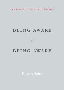 Being Aware of Being Aware by Rupert Spira