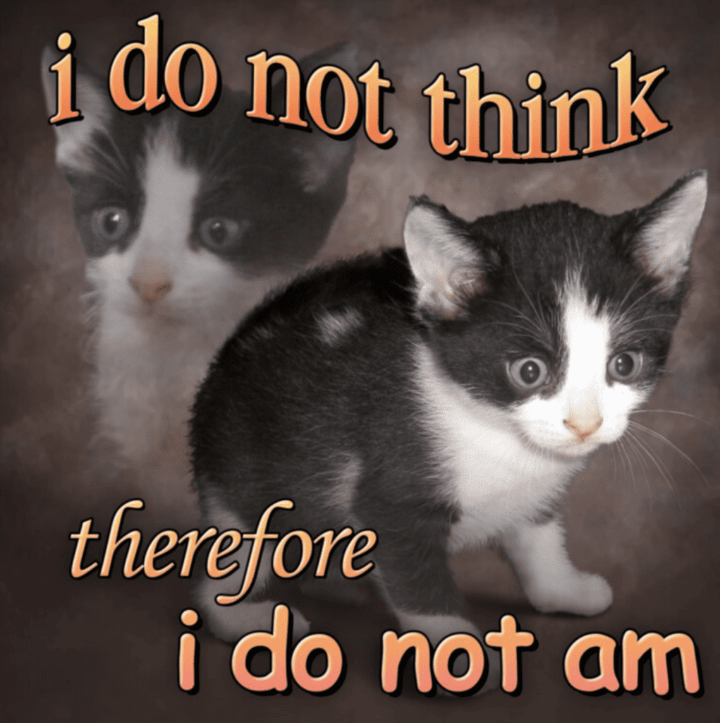 Do Not Think Meme