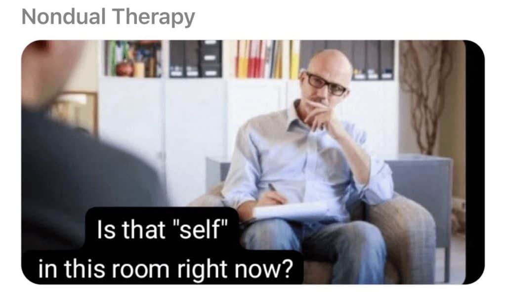 Nondual Therapy Self Room Meme