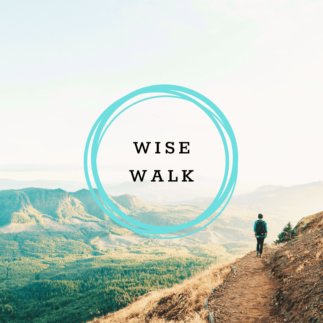 Wise Walk
