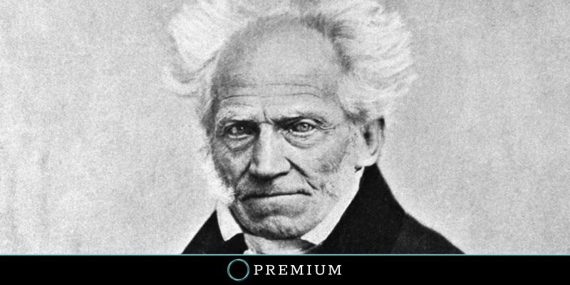 Schopenhauer Free Will