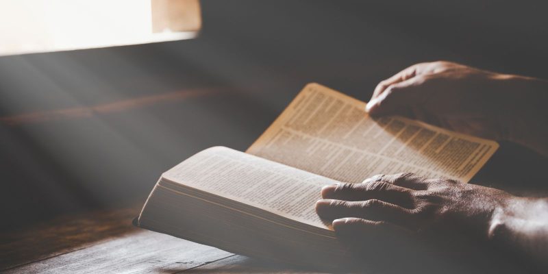 Bible verses on free will