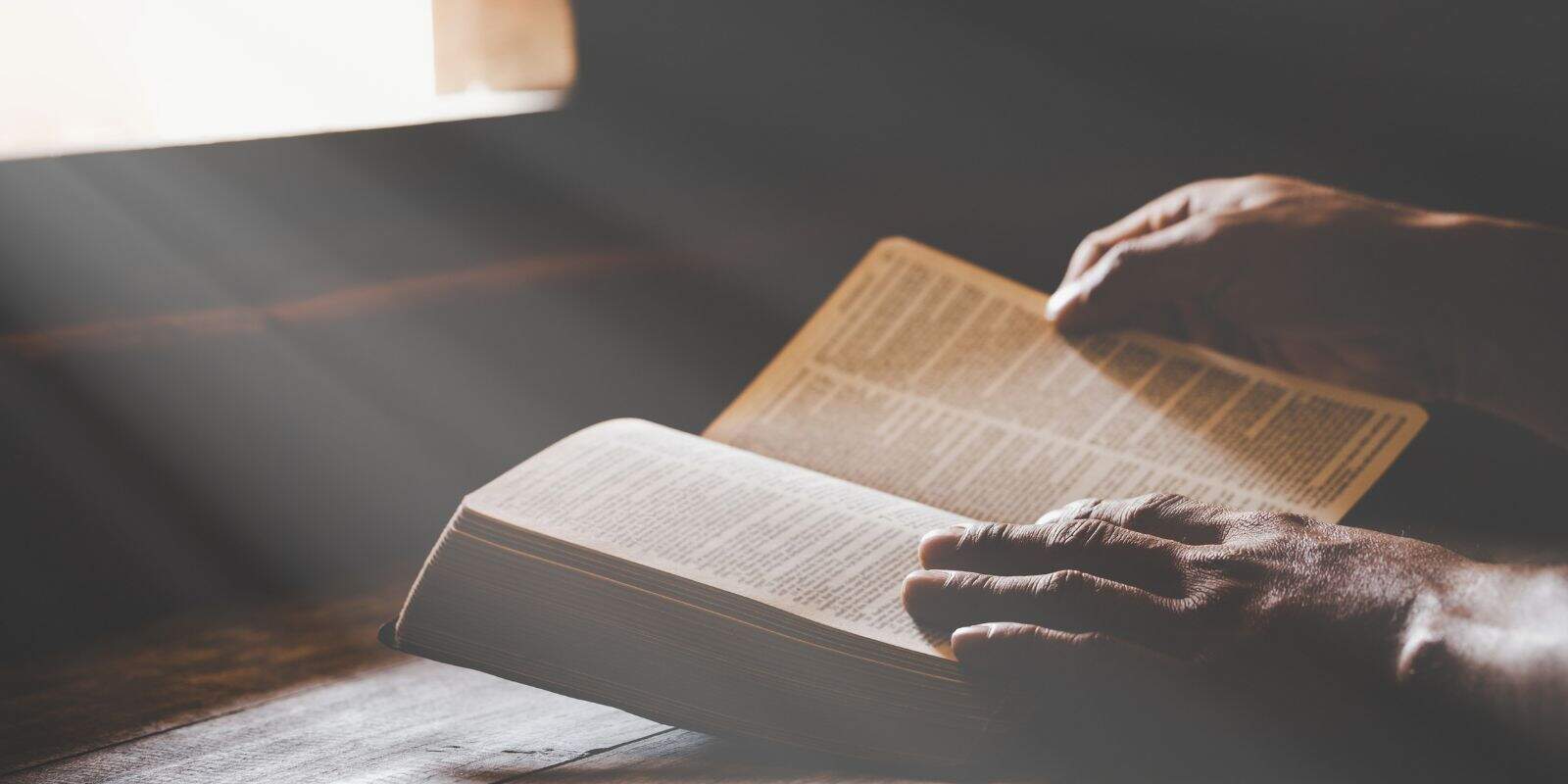 Bible verses on free will